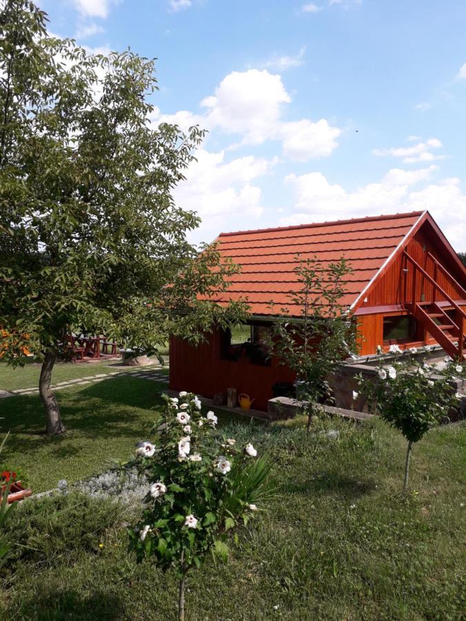 Apartmán Matyas Tard
